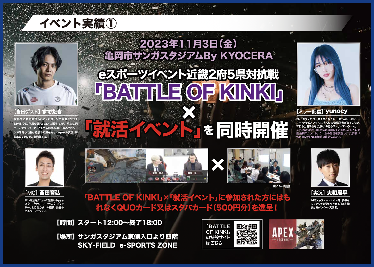 過去の実績のチラシ画像